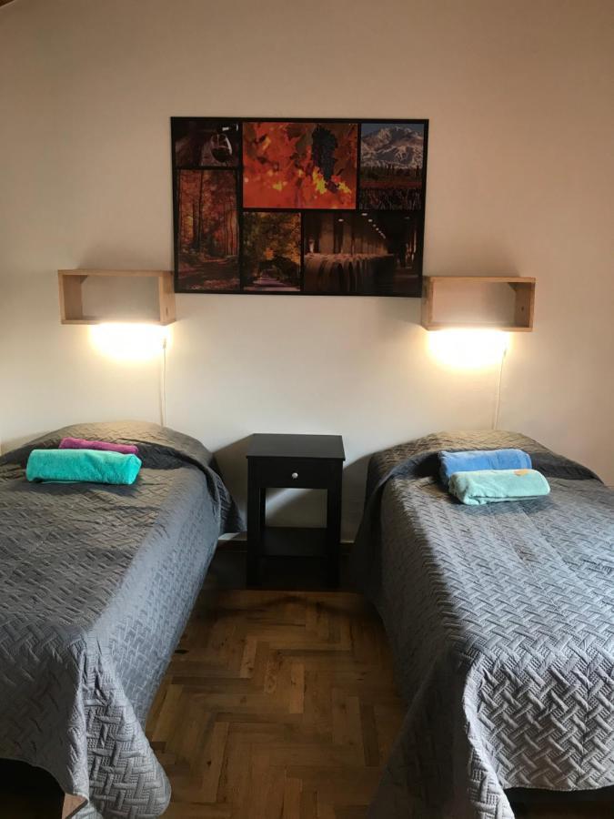 Mza Wine Apartment -Next To Aristides Street- First Class Mendoza Exteriör bild